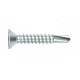 Tornillo din 7504-N 5,5x60