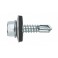 Tornillo din 7504-K neopreno 5,5x32