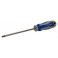 Destornillador Torx T10